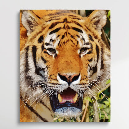 Tiger V14 | Paint by Numbers | Animals-Paintsuper