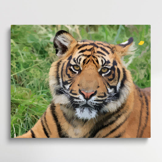 Tiger | Paint by Numbers | Animals-Paintsuper