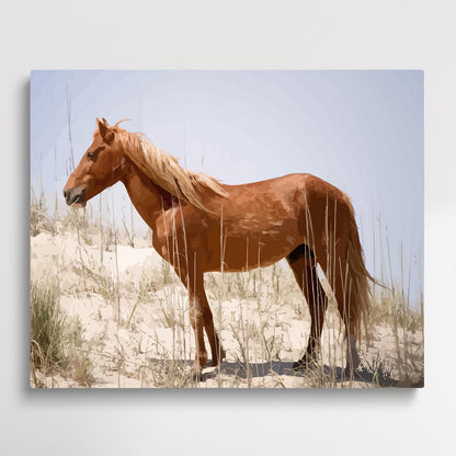 Wild spanish mustang | Paint by Numbers | Animals-Paintsuper