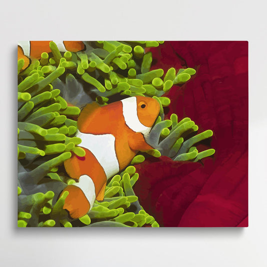 Anemone fish V2 | Paint by Numbers | Marine Life-Paintsuper