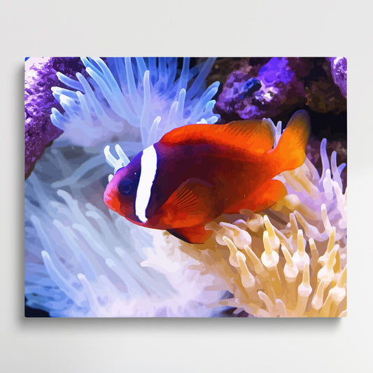 Clownfish | Paint by Numbers | Marine Life-Paintsuper