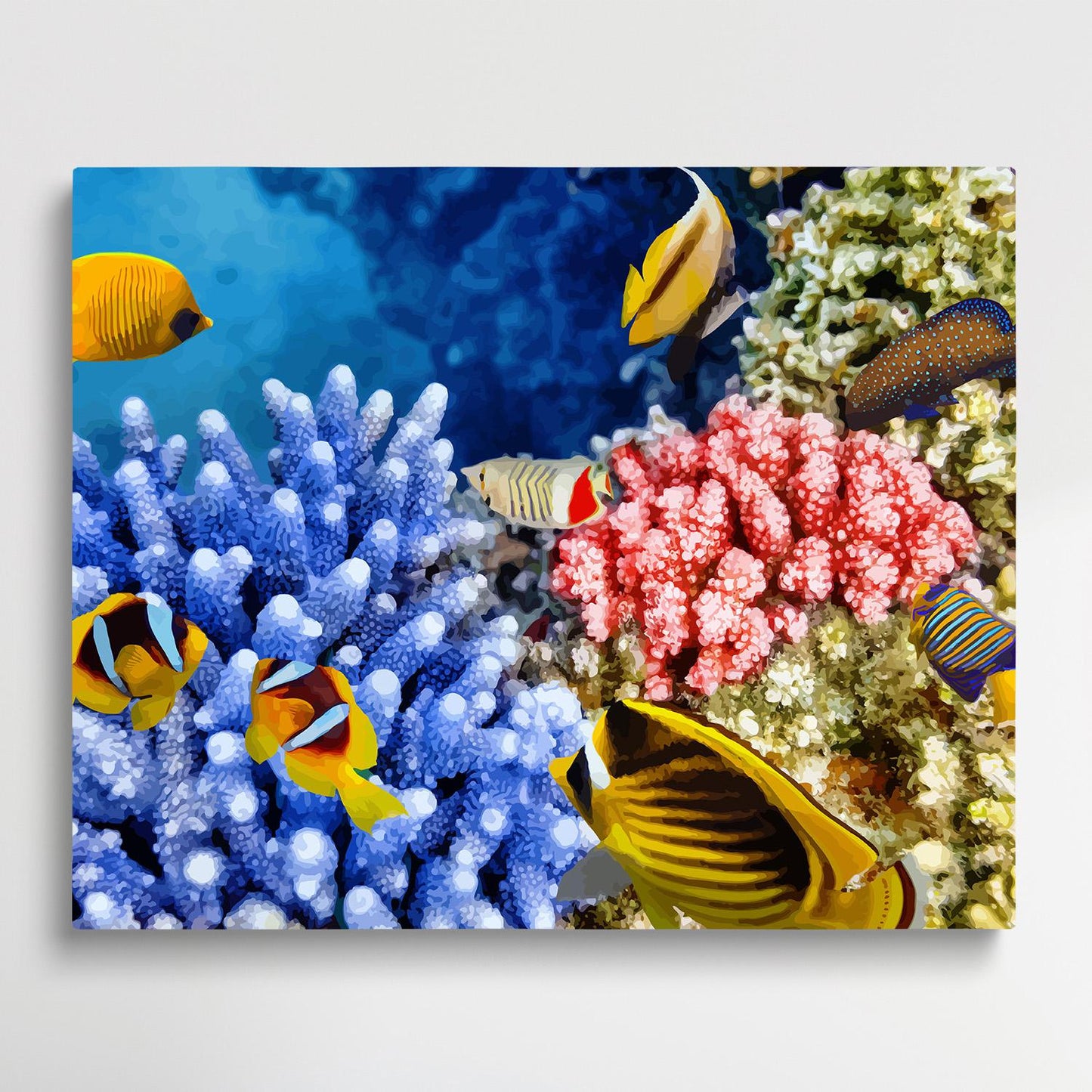 Colorful ocean fish V1 | Paint by Numbers | Marine Life-Paintsuper