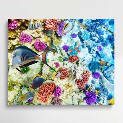 Colorful ocean fish V3 | Paint by Numbers | Marine Life-Paintsuper