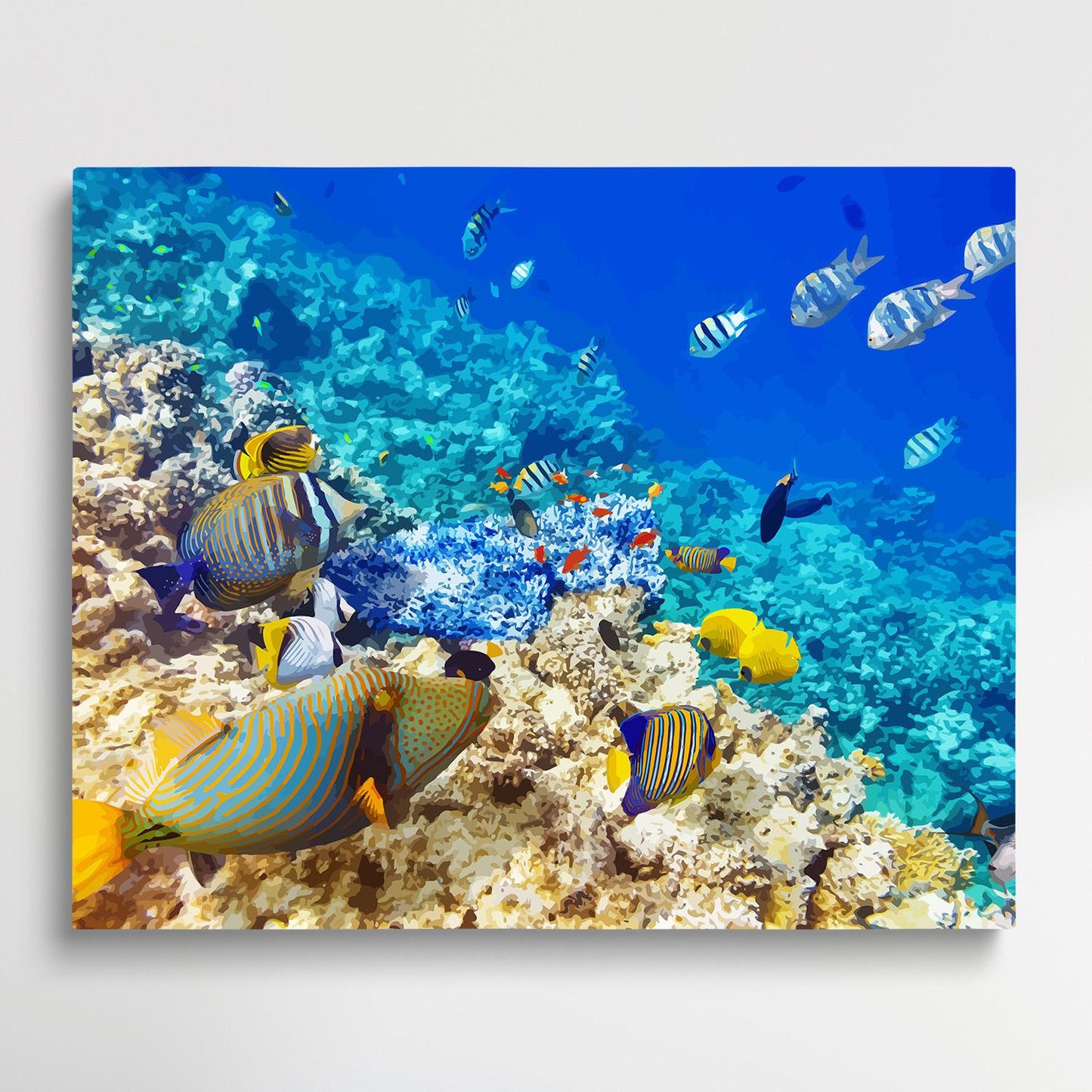 Colorful ocean fish V5 | Paint by Numbers | Marine Life-Paintsuper