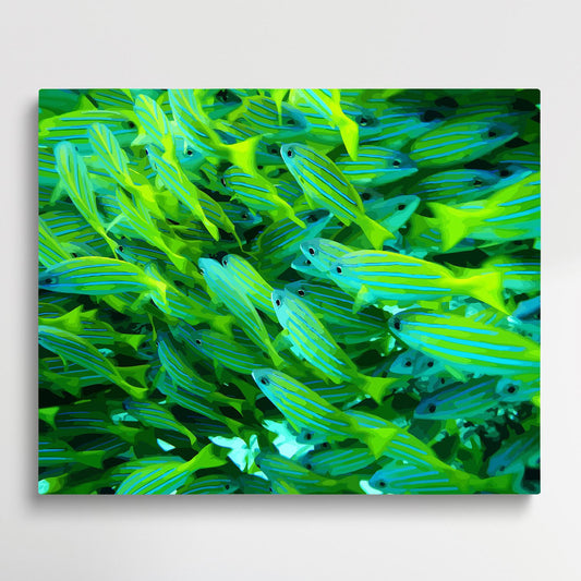 Fish School on the Seabed | Paint by Numbers | Marine Life-Paintsuper