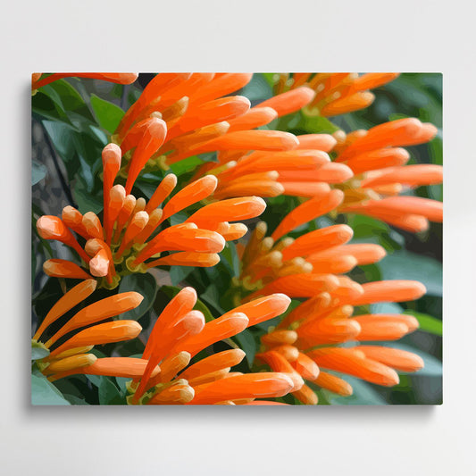 Pink Coral | Paint by Numbers | Marine Life-Paintsuper