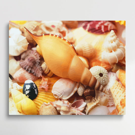 Seashells | Paint by Numbers | Marine Life-Paintsuper