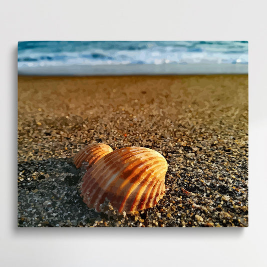 Shells on the beach | Paint by Numbers | Marine Life-Paintsuper
