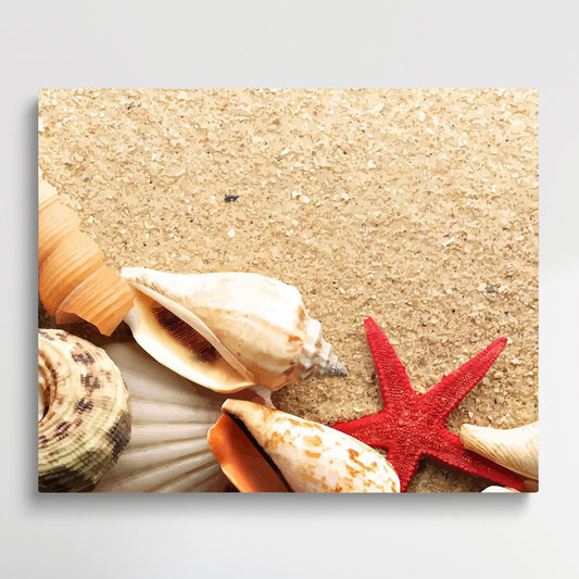 Starfish on the beach V6 | Paint by Numbers | Marine Life-Paintsuper