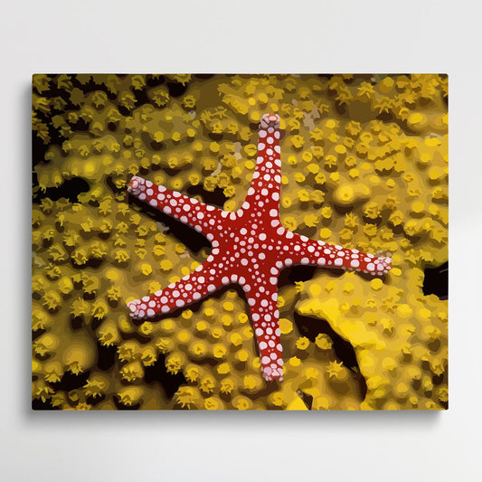 Starfish on the beach V7 | Paint by Numbers | Marine Life-Paintsuper
