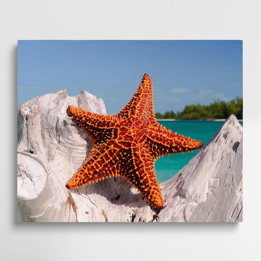 Starfish on the beach V8 | Paint by Numbers | Marine Life-Paintsuper