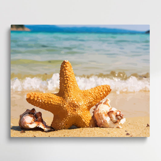 Starfish on the beach | Paint by Numbers | Marine Life-Paintsuper