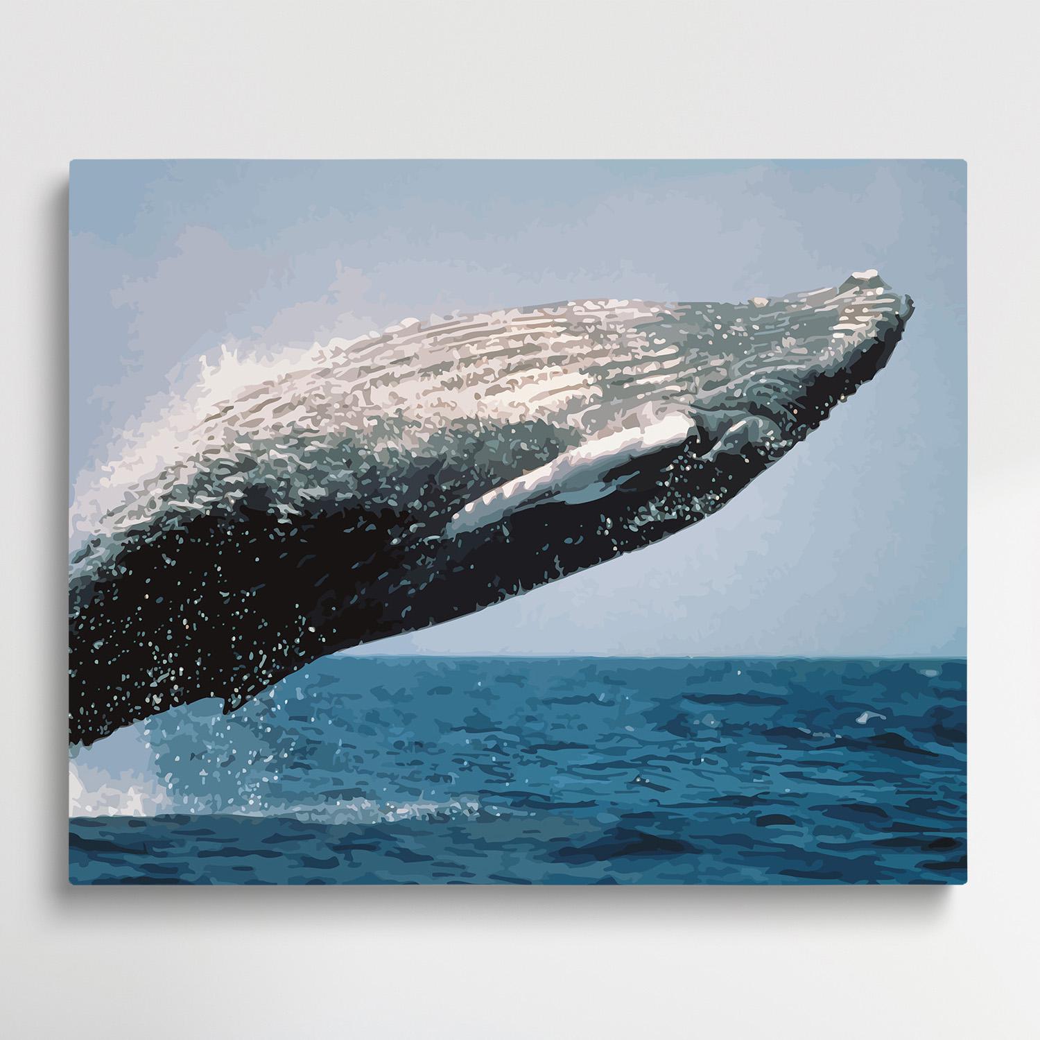 Whale | Paint by Numbers | Marine Life-Paintsuper